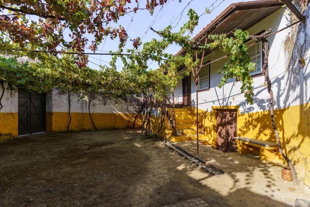 Quinta de Villa Franca - Douro Peso da Régua Extérieur photo
