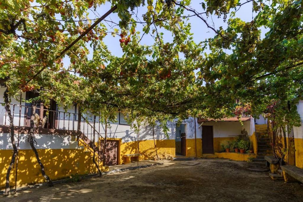 Quinta de Villa Franca - Douro Peso da Régua Extérieur photo